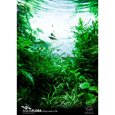 Poster Aquaflora 'Go Green!
