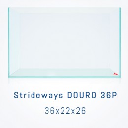STRIDEWAYS DOURO 36P