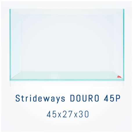 STRIDEWAYS DOURO 45P