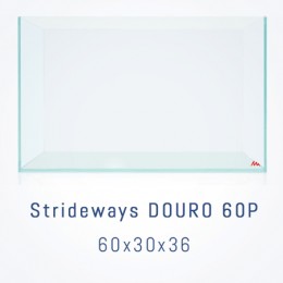 STRIDEWAYS DOURO 60P