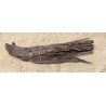 Driftwood 4890
