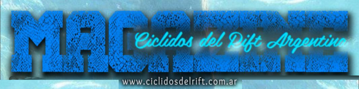 Ciclidos del Rift Argentina